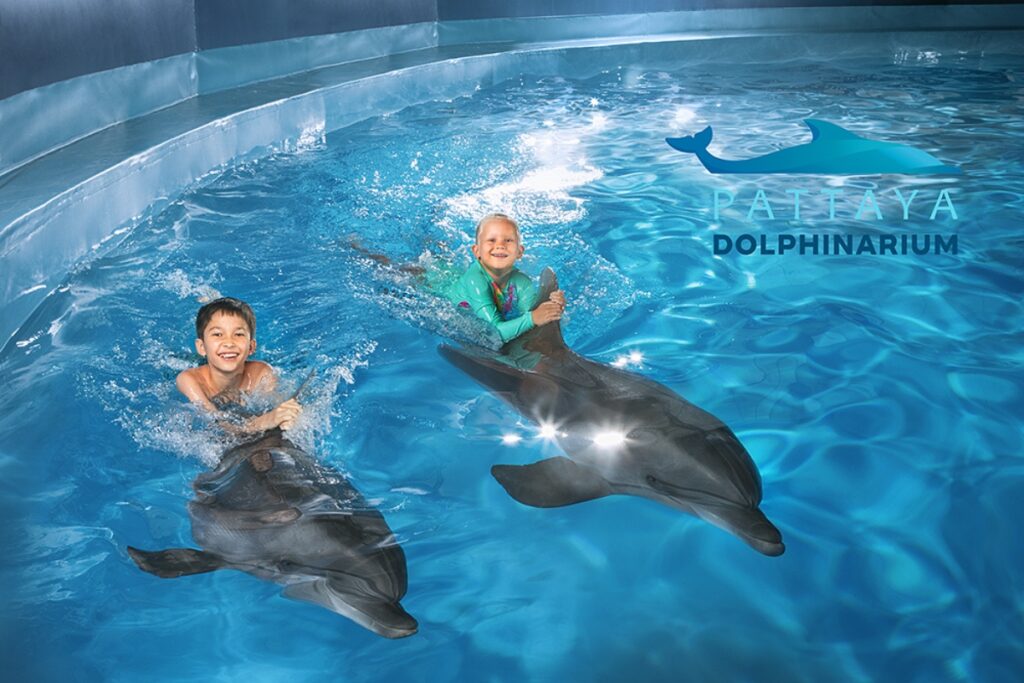children swimming with dolphins at the pattaya dolphinarium