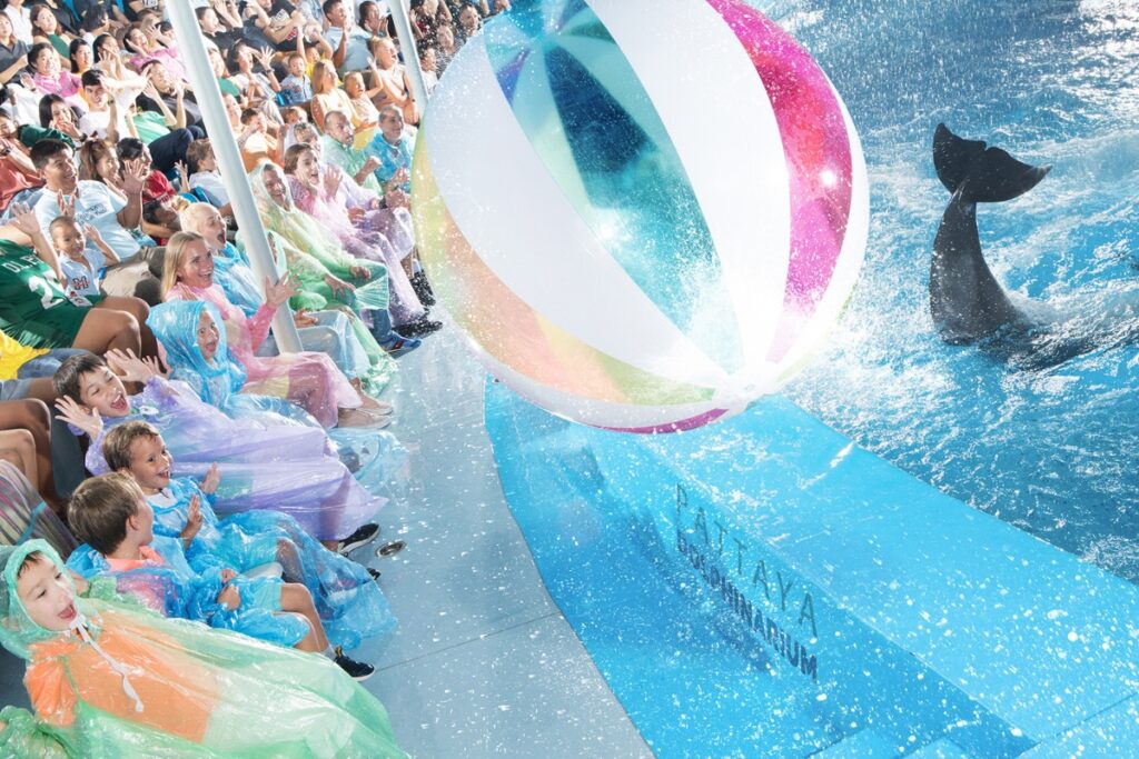 people sitting in the splash zone at dolphinarium pattaya