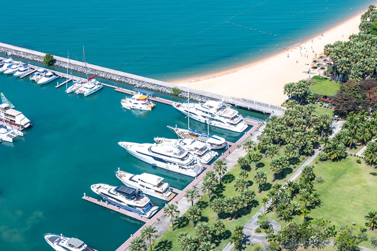 yachts at the harbor of ocean marina yacht club