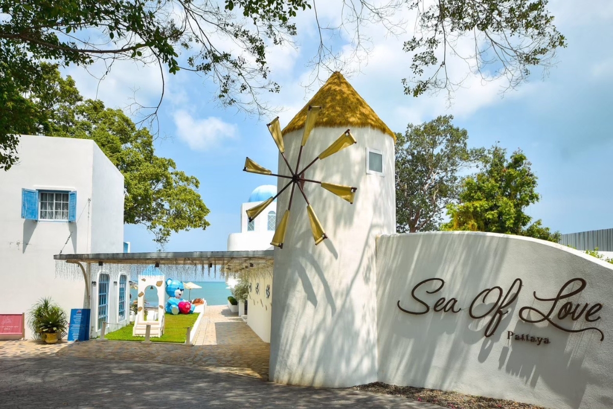 ซีออฟเลิฟคาเฟ่