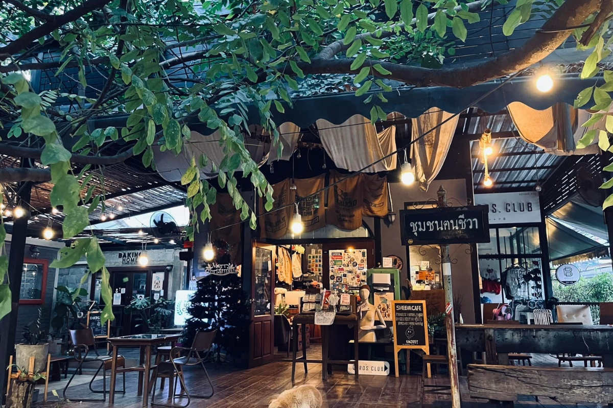 ชีวาคาเฟ่กับบรรยากาศสุดร่มรื่น