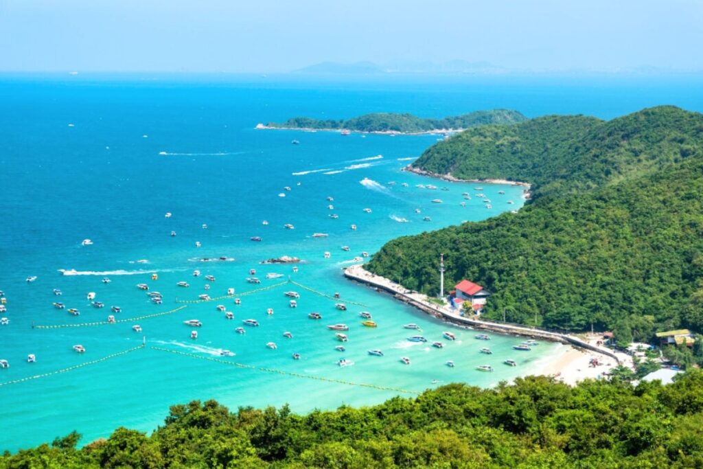 เกาะไผ่ในพัทยา
