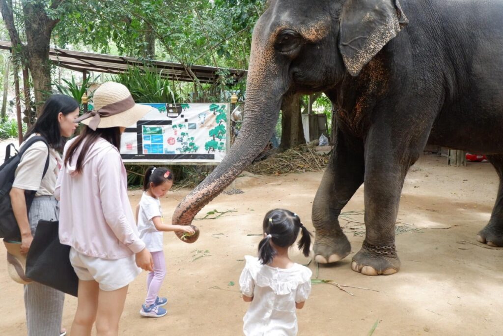 mini zoo at elephant village