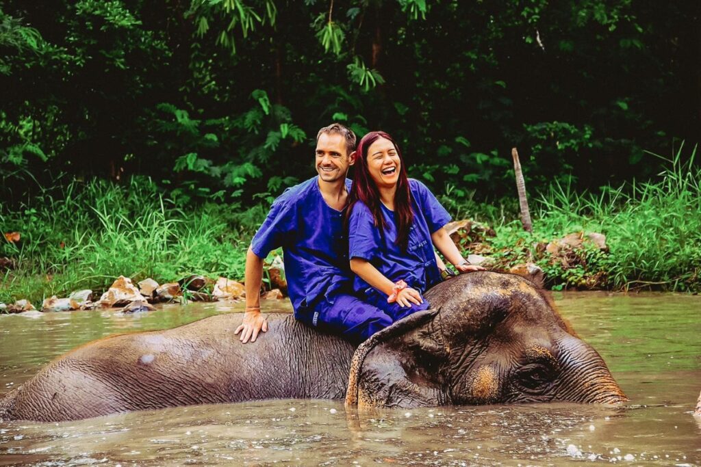 elephant taking visitors for a walk through the river